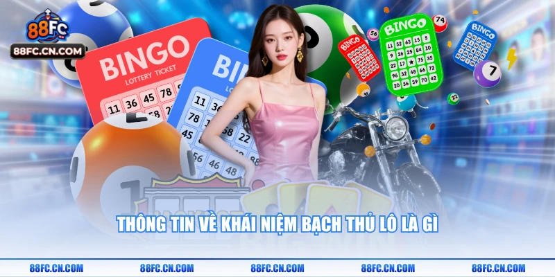 Thông tin về khái niệm bạch thủ lô là gì